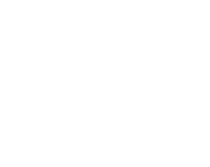 Wash100 Logo